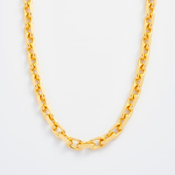 Forte Chain Necklace